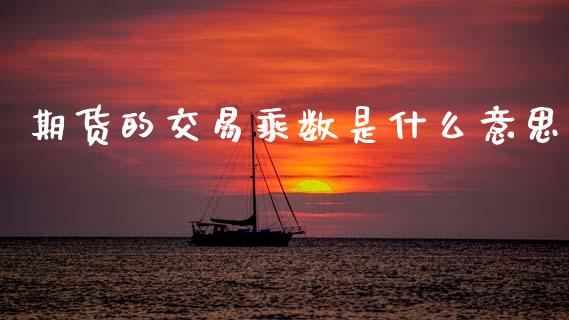 期货的交易乘数是什么意思_https://wap.78312.cn_债券资讯_第1张