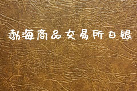 渤海商品交易所白银_https://wap.78312.cn_外汇交易_第1张