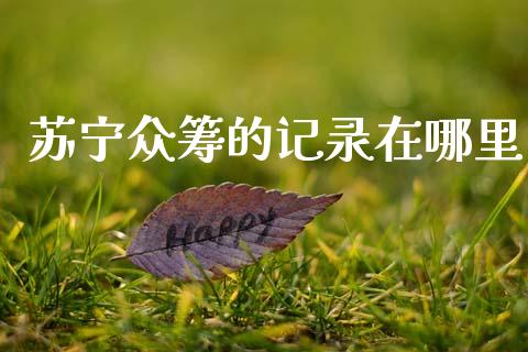 苏宁众筹的记录在哪里_https://wap.78312.cn_财经新闻_第1张