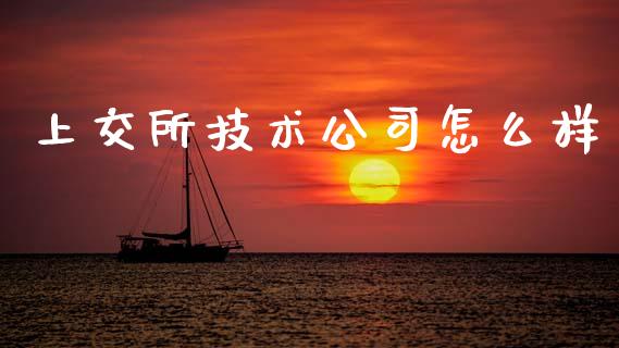 上交所技术公司怎么样_https://wap.78312.cn_金融监管_第1张