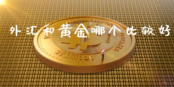 外汇和黄金哪个比较好_https://wap.78312.cn_金融监管_第1张