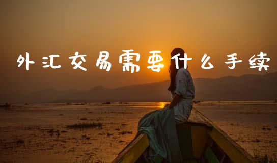 外汇交易需要什么手续_https://wap.78312.cn_外汇交易_第1张