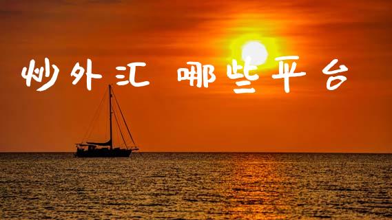 炒外汇 哪些平台_https://wap.78312.cn_金融监管_第1张