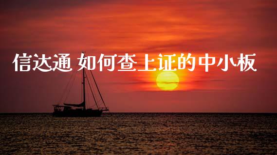 信达通 如何查上证的中小板_https://wap.78312.cn_期货开户_第1张