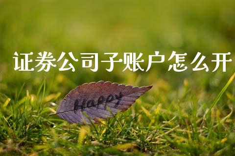 证券公司子账户怎么开_https://wap.78312.cn_外汇交易_第1张