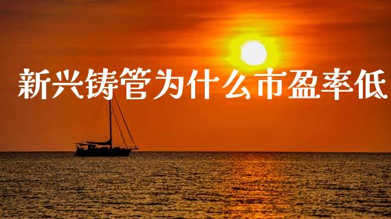 新兴铸管为什么市盈率低_https://wap.78312.cn_期货开户_第1张