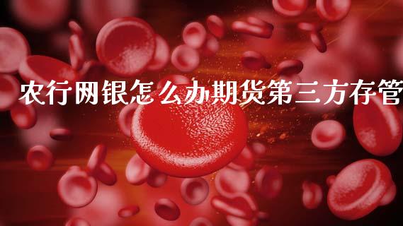 农行网银怎么办期货第三方存管_https://wap.78312.cn_全球市场_第1张