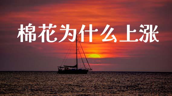 棉花为什么上涨_https://wap.78312.cn_期货开户_第1张