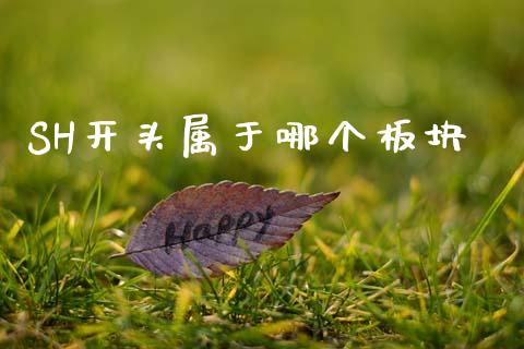 SH开头属于哪个板块_https://wap.78312.cn_债券资讯_第1张