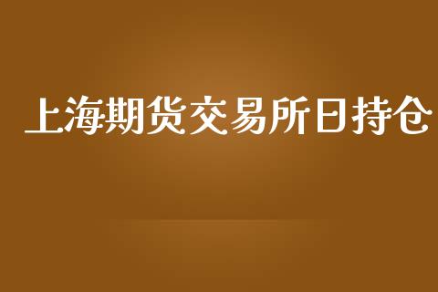 上海期货交易所日持仓_https://wap.78312.cn_外汇交易_第1张