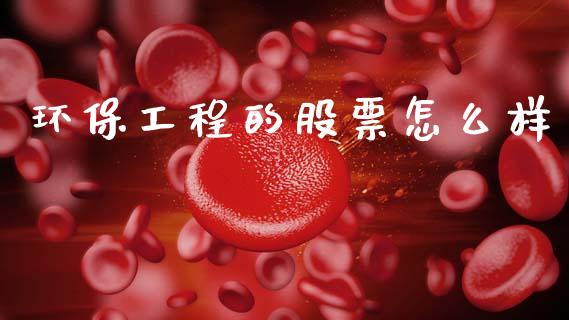 环保工程的股票怎么样_https://wap.78312.cn_金融监管_第1张