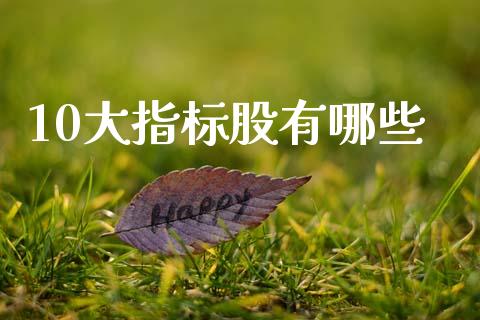 10大指标股有哪些_https://wap.78312.cn_金融监管_第1张