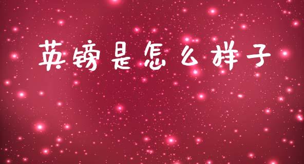 英镑是怎么样子_https://wap.78312.cn_金融监管_第1张