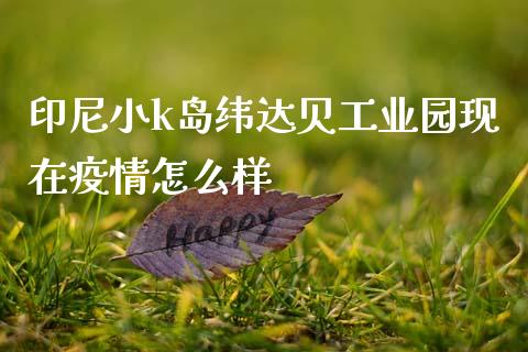 印尼小k岛纬达贝工业园现在疫情怎么样_https://wap.78312.cn_债券资讯_第1张