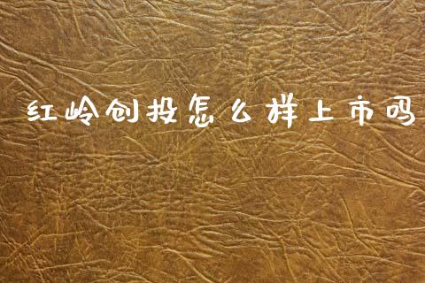 红岭创投怎么样上市吗_https://wap.78312.cn_财经新闻_第1张