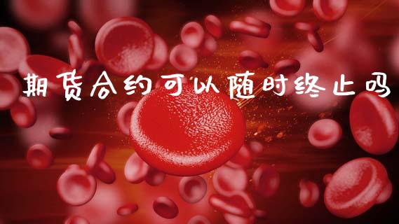 期货合约可以随时终止吗_https://wap.78312.cn_金融监管_第1张