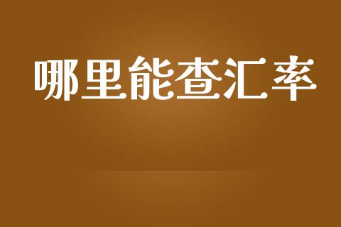 哪里能查汇率_https://wap.78312.cn_外汇交易_第1张
