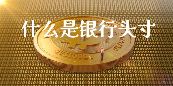 什么是银行头寸_https://wap.78312.cn_期货开户_第1张