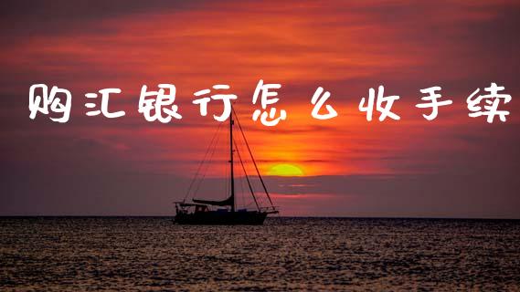 购汇银行怎么收手续_https://wap.78312.cn_债券资讯_第1张