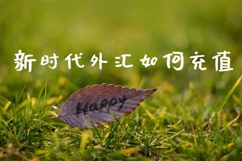 新时代外汇如何充值_https://wap.78312.cn_金融监管_第1张
