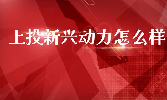 上投新兴动力怎么样_https://wap.78312.cn_期货开户_第1张